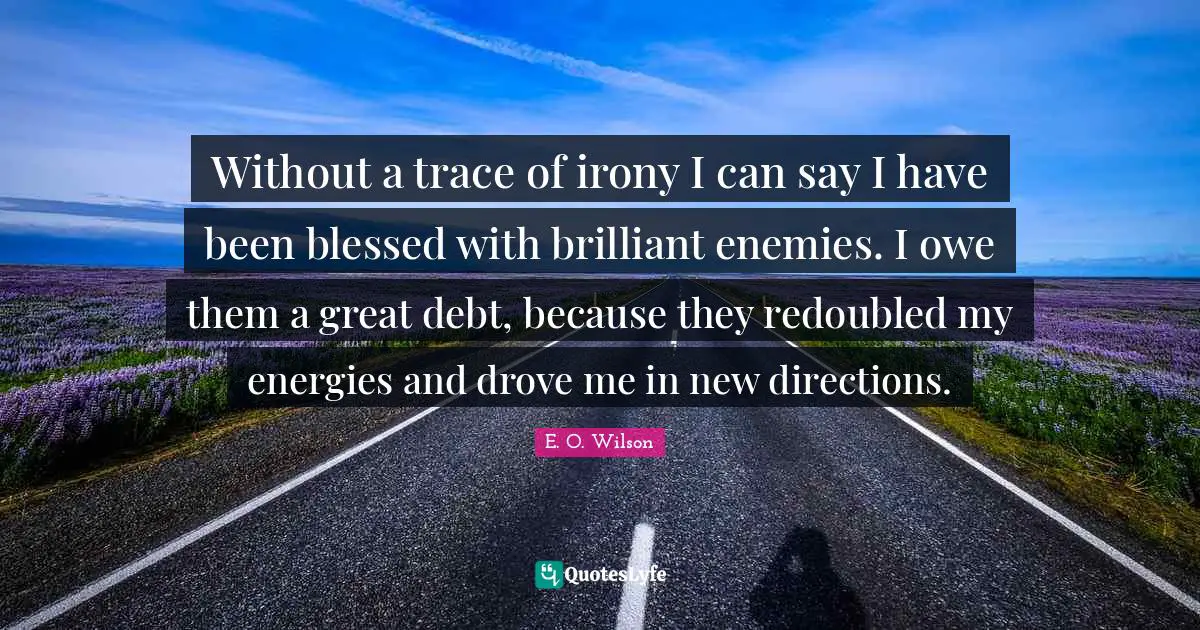 Without a trace of irony I can say I have been blessed with brilliant enemies. I owe them a great debt, because they redoubled my energies and drove me in new directions.