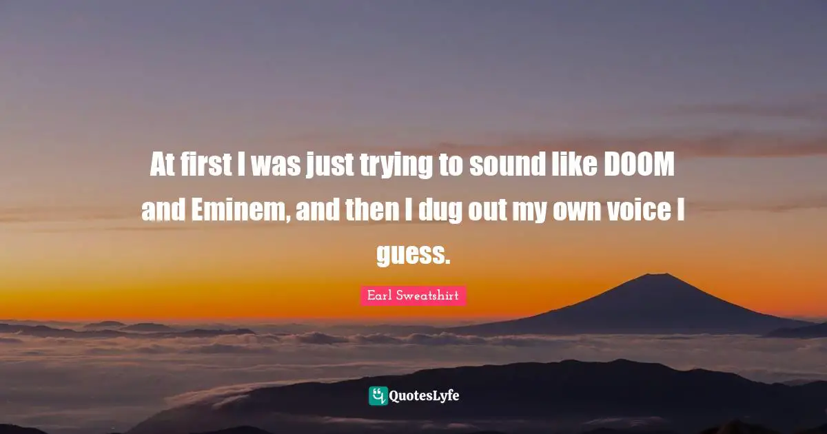 At first I was just trying to sound like DOOM and Eminem, and then I dug out my own voice I guess.