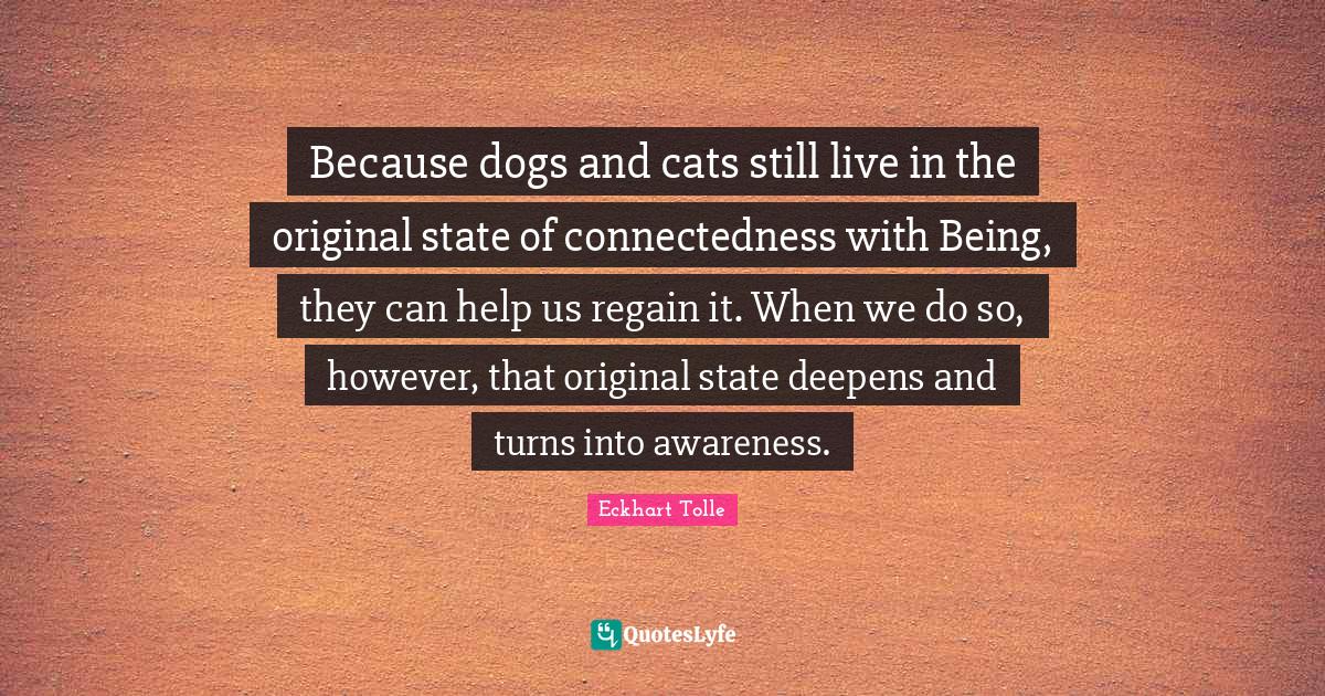 Because dogs and cats still live in the original state of connectedness with Being, they can help us regain it. When we do so, however, that original state deepens and turns into awareness.
