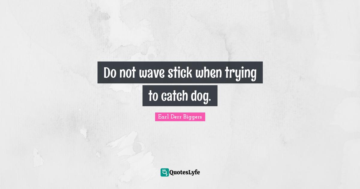 Do not wave stick when trying to catch dog.