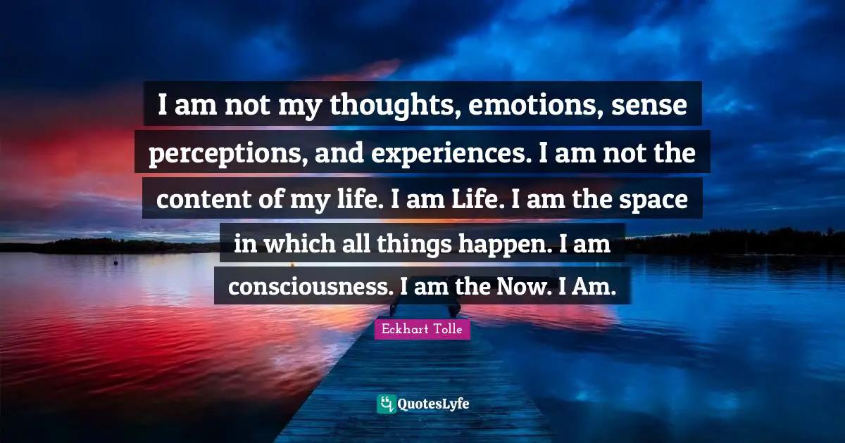 I am not my thoughts, emotions, sense perceptions, and experiences. I am not the content of my life. I am Life. I am the space in which all things happen. I am consciousness. I am the Now. I Am.