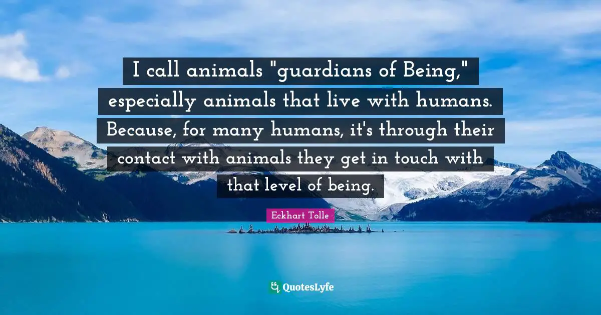 I call animals "guardians of Being," especially animals that live with humans. Because, for many humans, it's through their contact with animals they get in touch with that level of being.