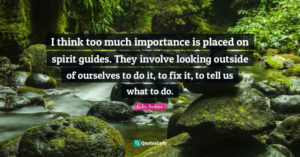 I think too much importance is placed on spirit guides. They involve looking outside of ourselves to do it, to fix it, to tell us what to do.