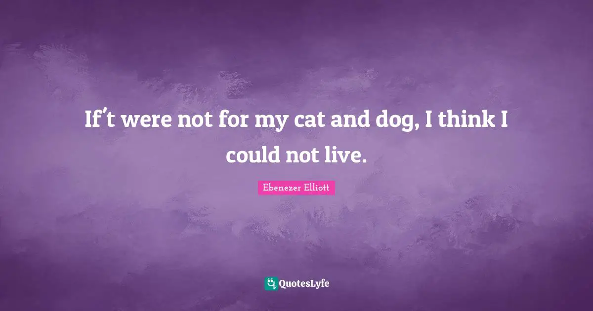 If't were not for my cat and dog, I think I could not live.