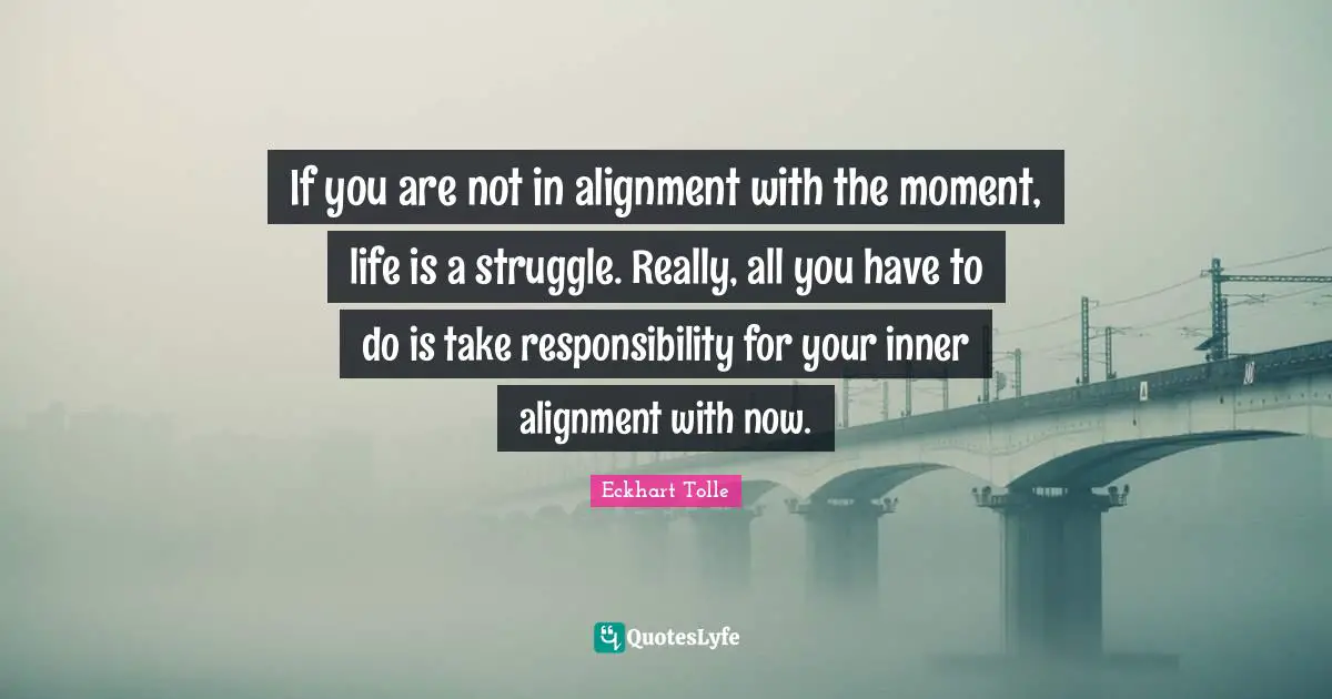 Alignment Quotes: "If you are not in alignment with the moment, life is a struggle. Really, all you have to do is take responsibility for your inner alignment with now."