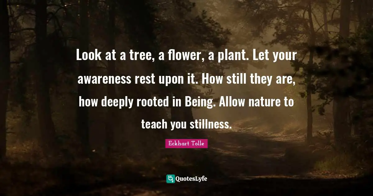 Awareness Quotes: "Look at a tree, a flower, a plant. Let your awareness rest upon it. How still they are, how deeply rooted in Being. Allow nature to teach you stillness."