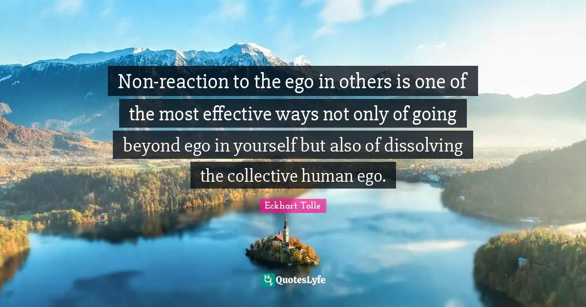 Non-reaction to the ego in others is one of the most effective ways not only of going beyond ego in yourself but also of dissolving the collective human ego.