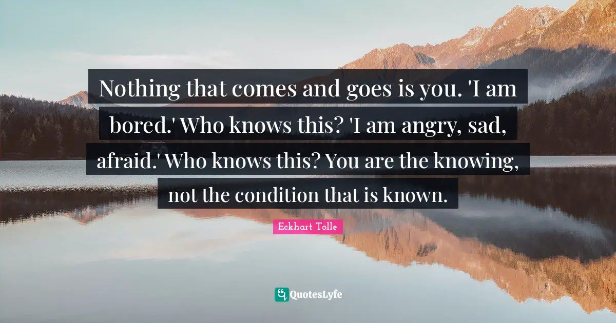 Nothing that comes and goes is you. 'I am bored.' Who knows this? 'I am angry, sad, afraid.' Who knows this? You are the knowing, not the condition that is known.