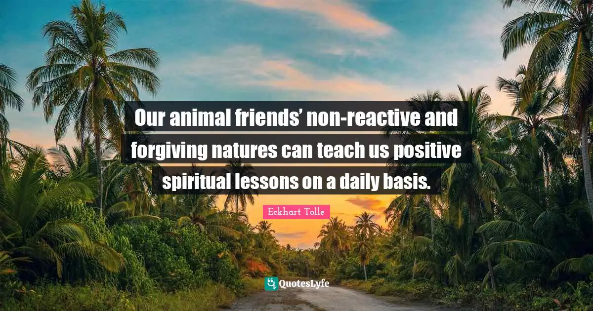 Our animal friends’ non-reactive and forgiving natures can teach us positive spiritual lessons on a daily basis.