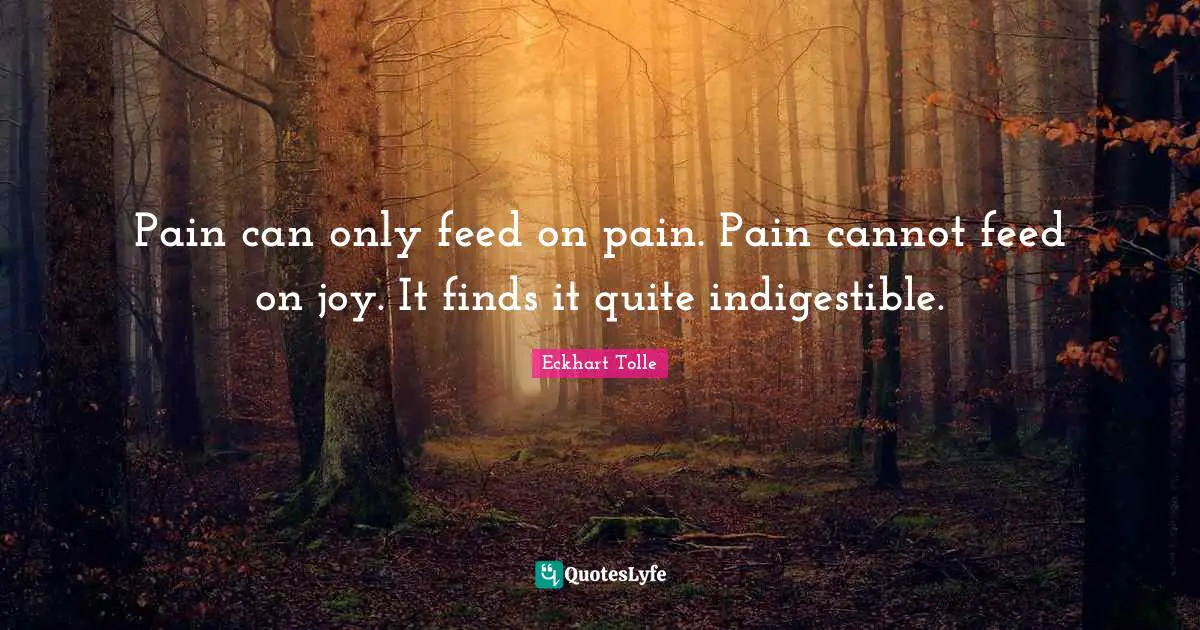 Pain can only feed on pain. Pain cannot feed on joy. It finds it quite indigestible.