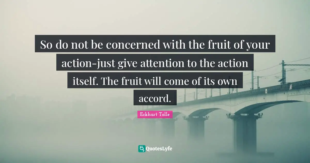 So do not be concerned with the fruit of your action-just give attention to the action itself. The fruit will come of its own accord.
