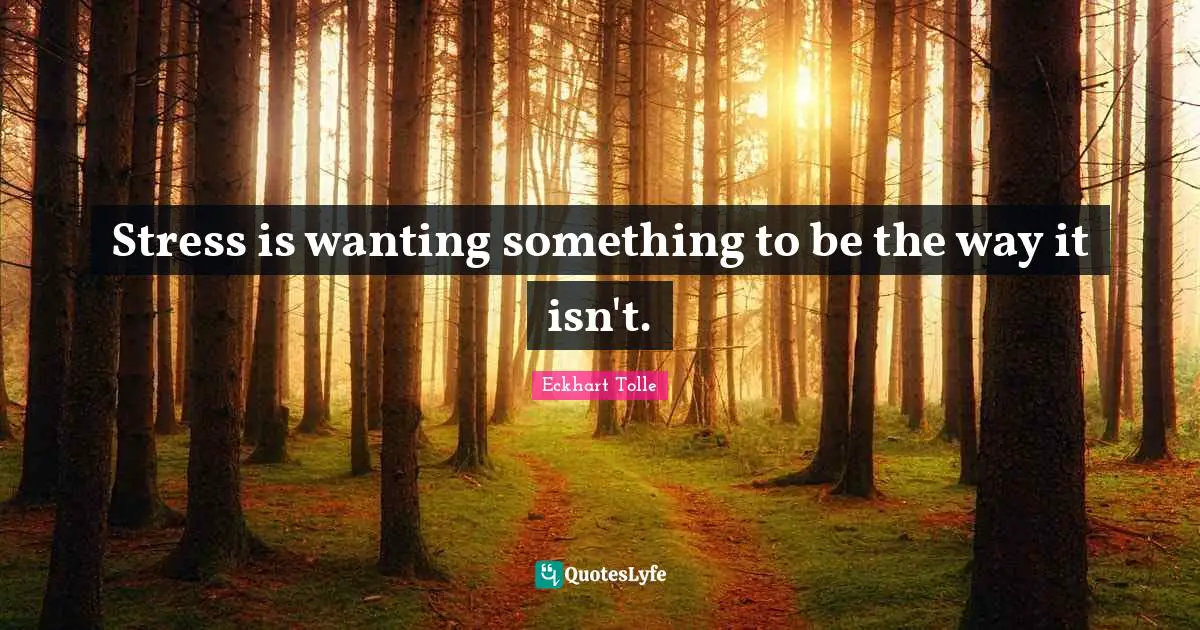 Stress is wanting something to be the way it isn't.