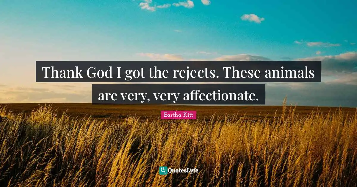 Affectionate Quotes: "Thank God I got the rejects. These animals are very, very affectionate."