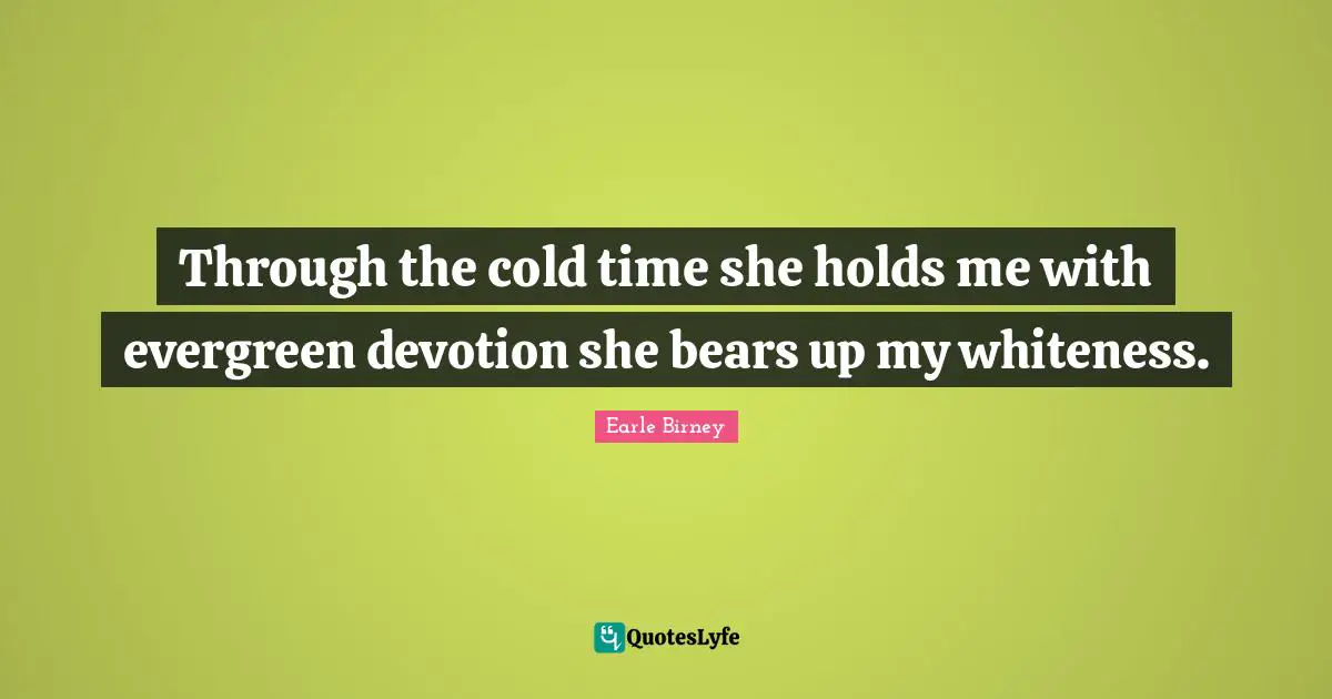 Through the cold time she holds me with evergreen devotion she bears up my whiteness.