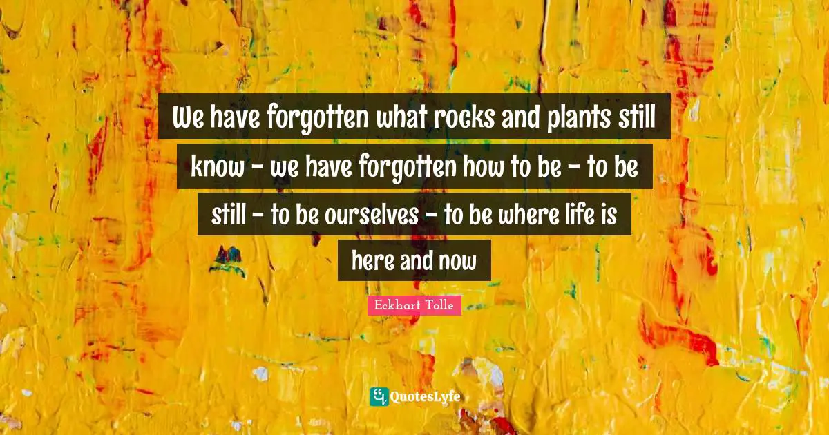 Here And Now Quotes: "We have forgotten what rocks and plants still know - we have forgotten how to be - to be still - to be ourselves - to be where life is here and now"
