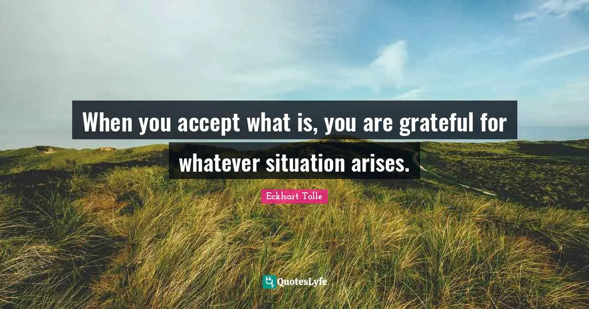 When you accept what is, you are grateful for whatever situation arises.
