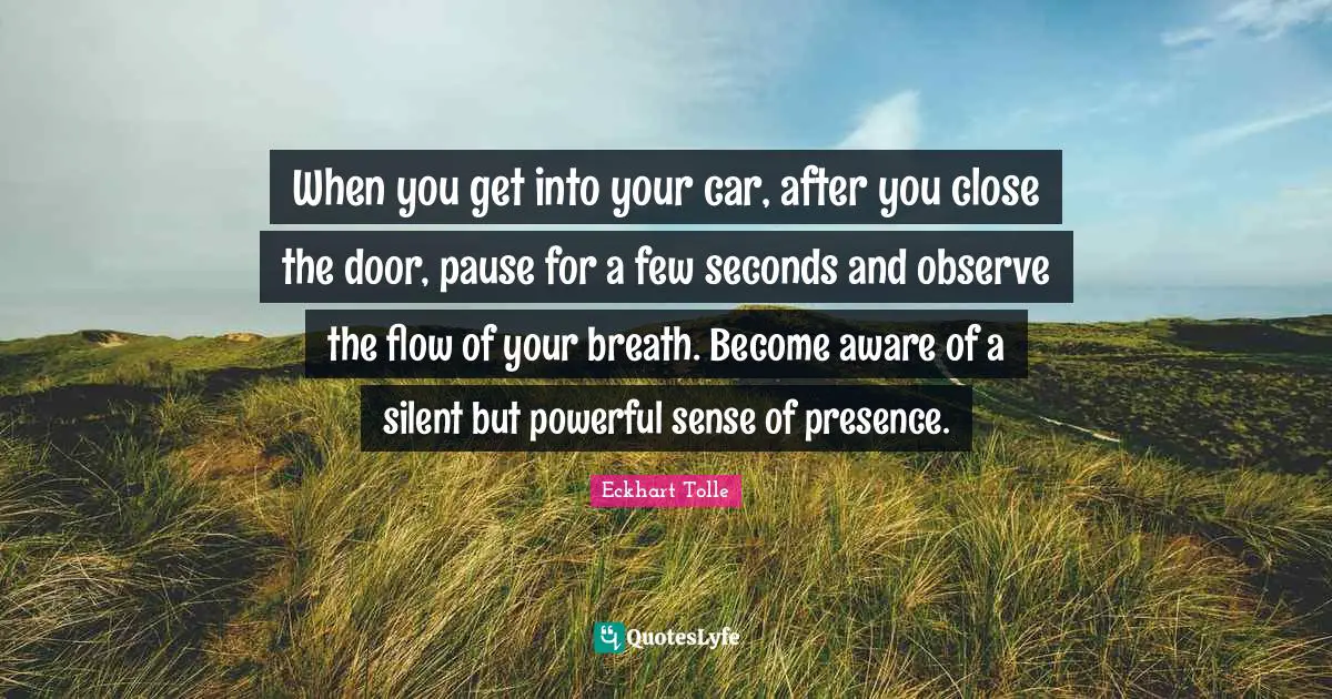 When you get into your car, after you close the door, pause for a few seconds and observe the flow of your breath. Become aware of a silent but powerful sense of presence.