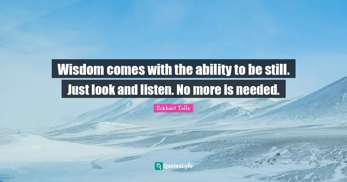 Wisdom comes with the ability to be still. Just look and listen. No more is needed.