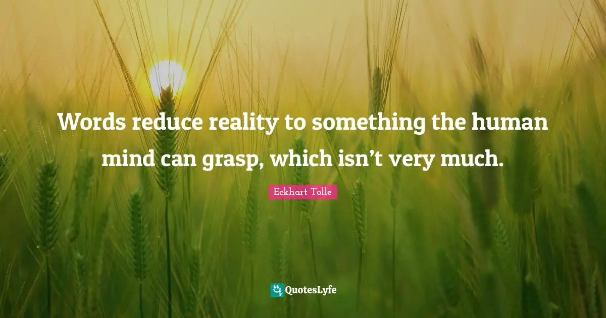 Words reduce reality to something the human mind can grasp, which isn’t very much.