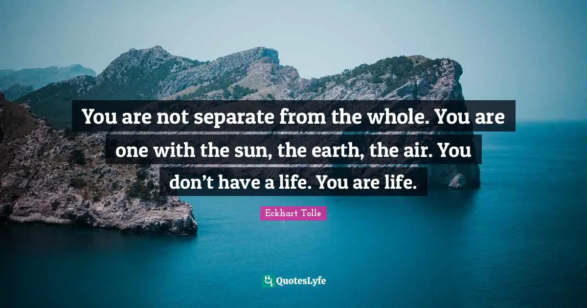 Sun Quotes: "You are not separate from the whole. You are one with the sun, the earth, the air. You don’t have a life. You are life."