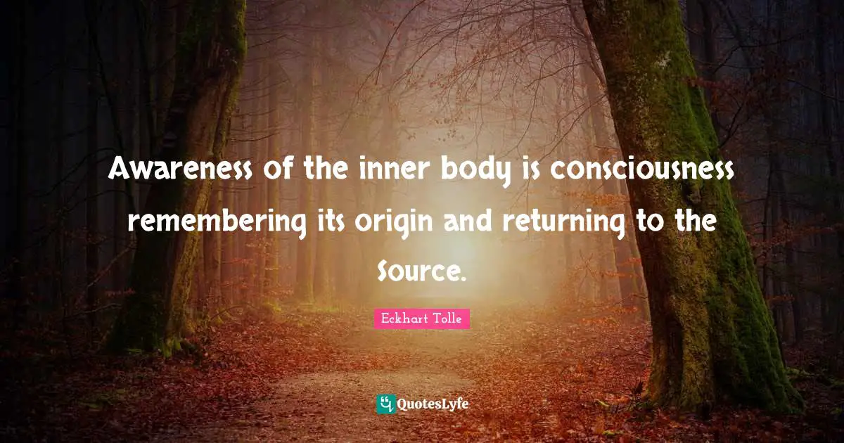 Awareness of the inner body is consciousness remembering its origin and returning to the Source.