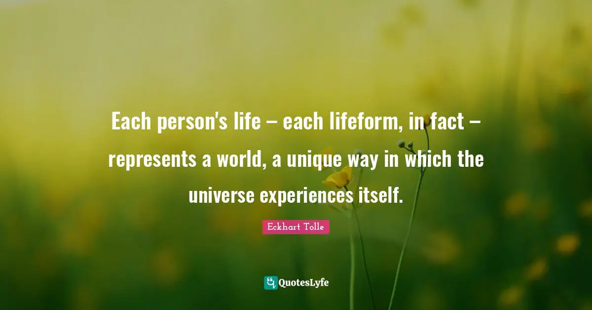 Each person's life – each lifeform, in fact – represents a world, a unique way in which the universe experiences itself.