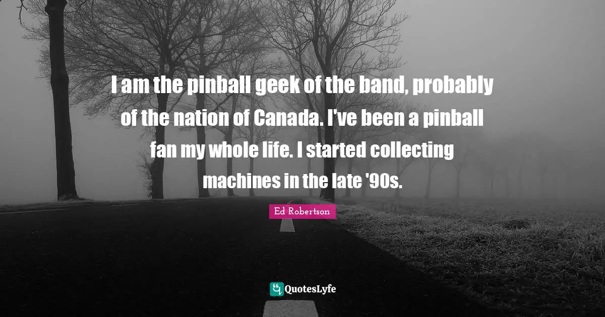 I am the pinball geek of the band, probably of the nation of Canada. I've been a pinball fan my whole life. I started collecting machines in the late '90s.