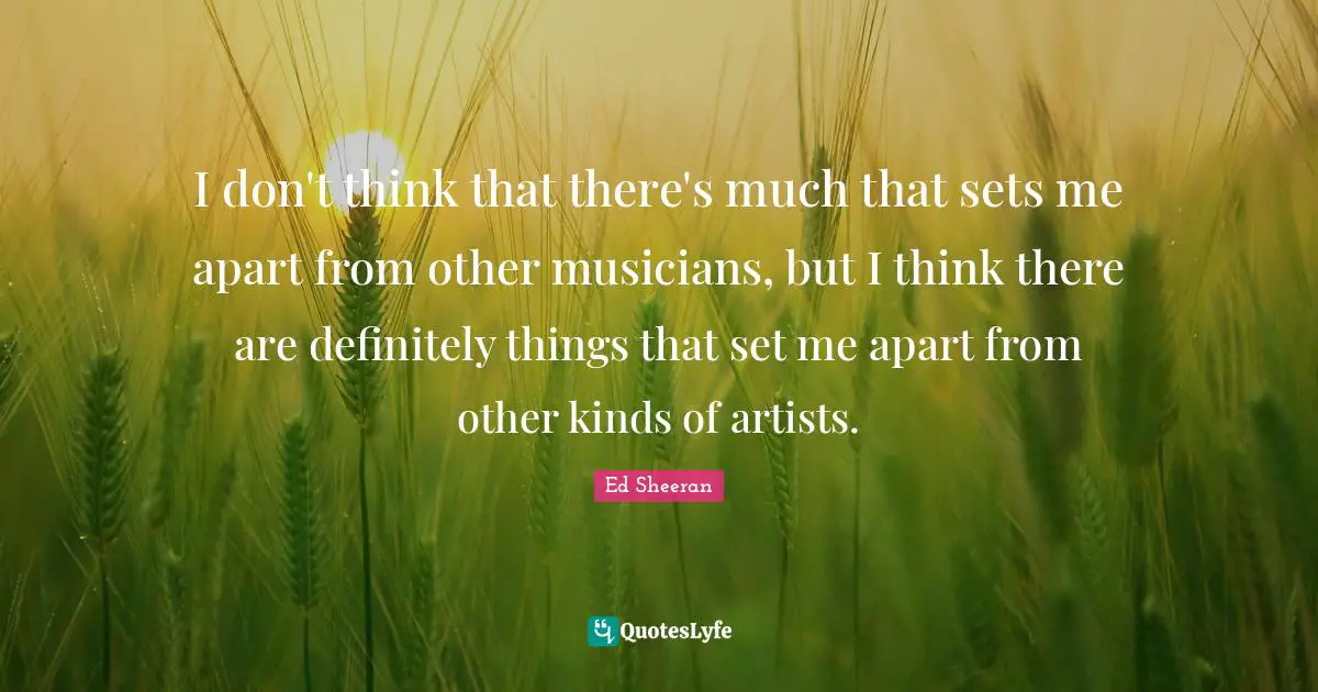 I don't think that there's much that sets me apart from other musicians, but I think there are definitely things that set me apart from other kinds of artists.