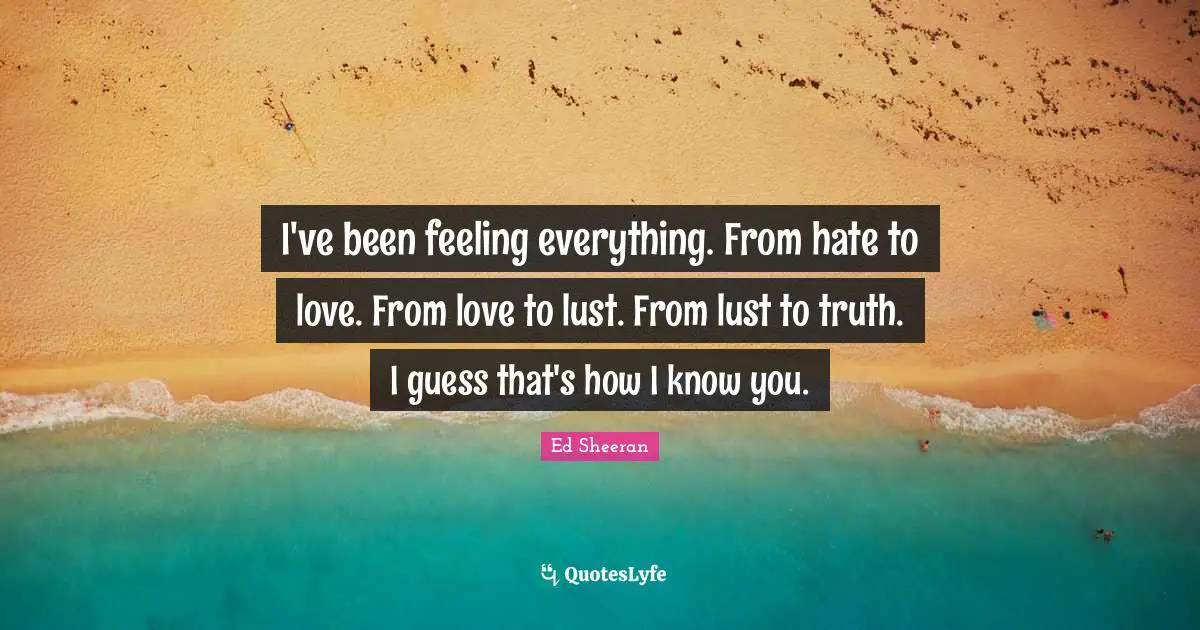 I've been feeling everything. From hate to love. From love to lust. From lust to truth. I guess that's how I know you.