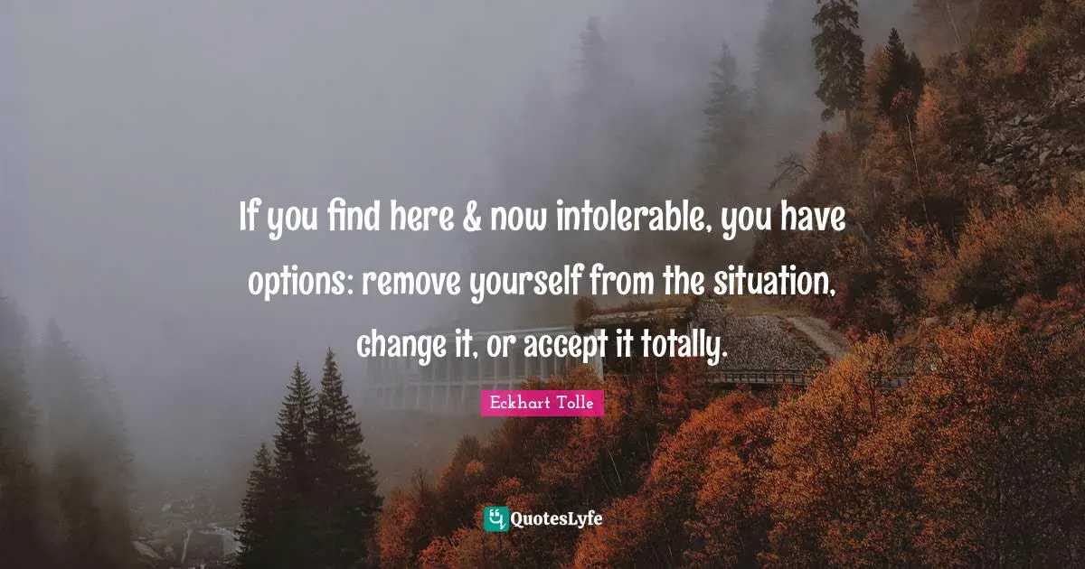 If you find here & now intolerable, you have options: remove yourself from the situation, change it, or accept it totally.