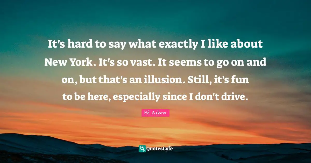It's hard to say what exactly I like about New York. It's so vast. It seems to go on and on, but that's an illusion. Still, it's fun to be here, especially since I don't drive.