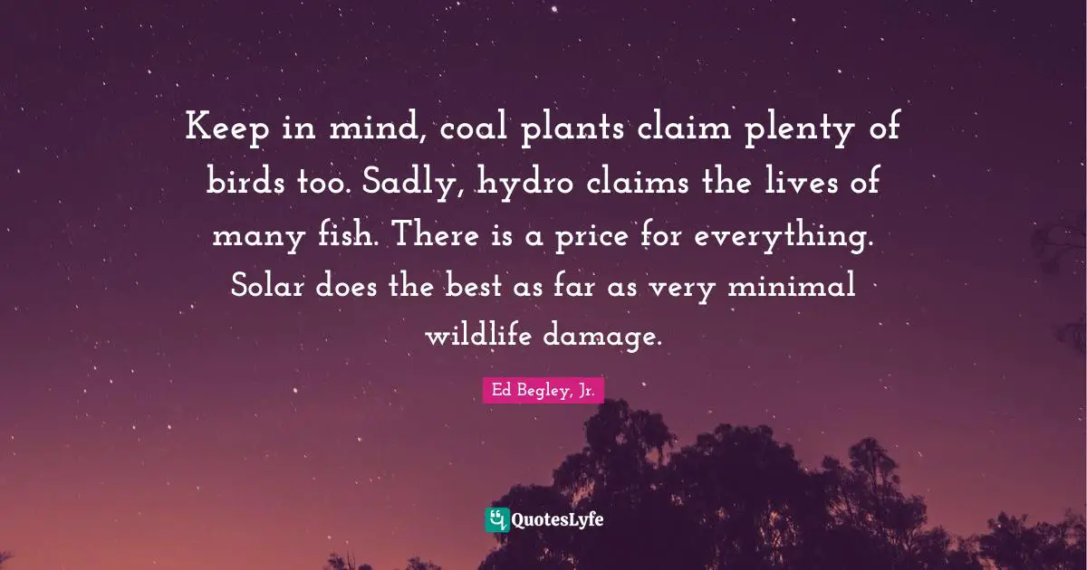 Keep in mind, coal plants claim plenty of birds too. Sadly, hydro claims the lives of many fish. There is a price for everything. Solar does the best as far as very minimal wildlife damage.