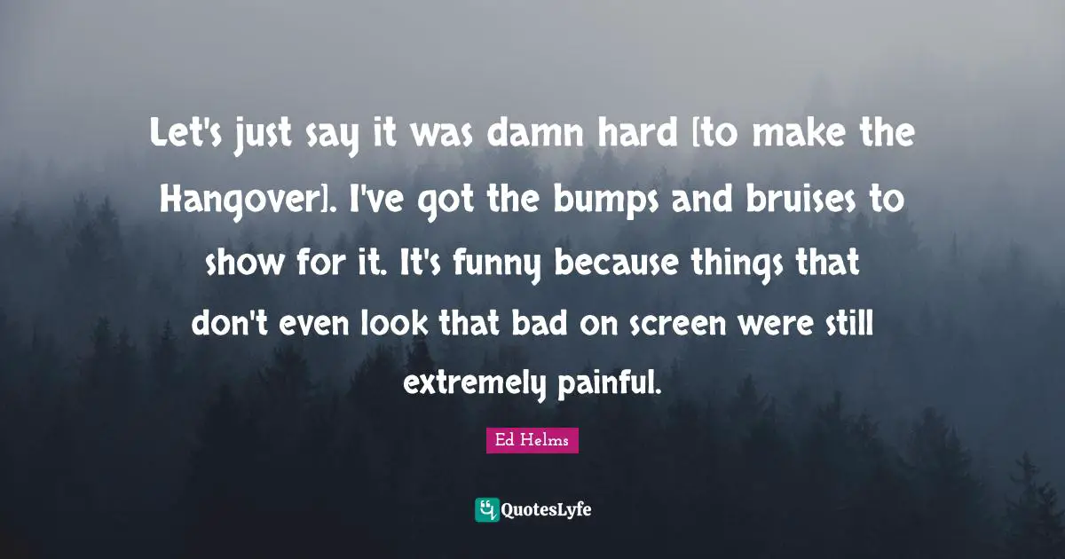 Let's just say it was damn hard [to make the Hangover]. I've got the bumps and bruises to show for it. It's funny because things that don't even look that bad on screen were still extremely painful.