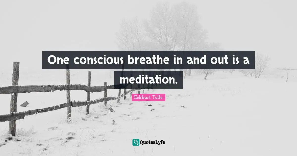 One conscious breathe in and out is a meditation.