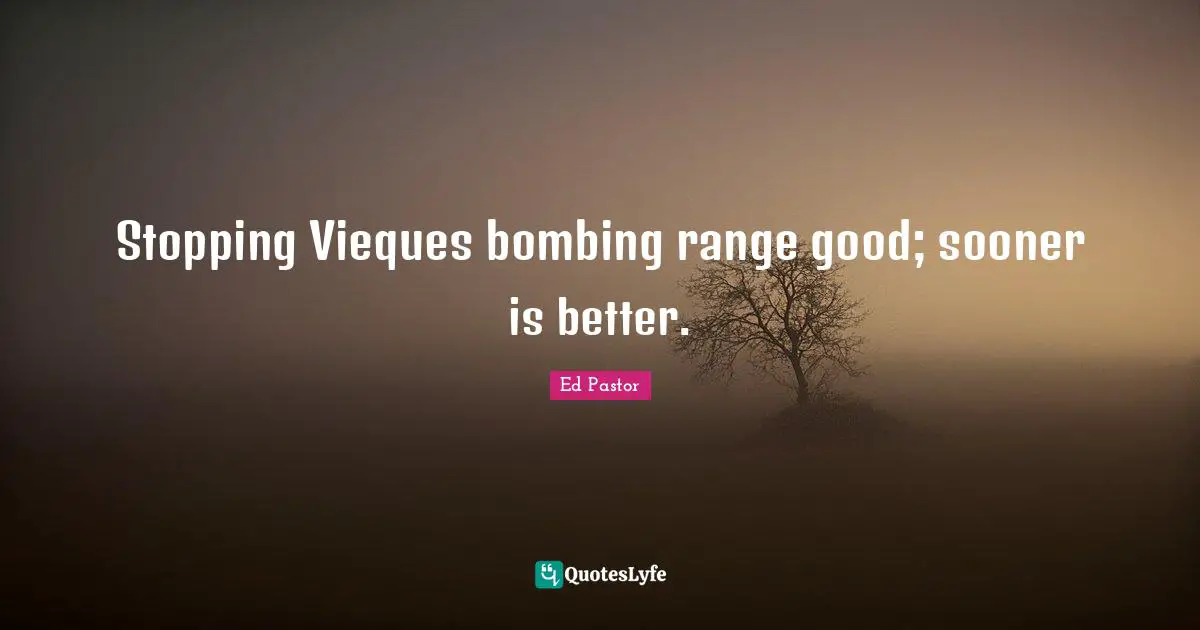 Bombing Quotes: "Stopping Vieques bombing range good; sooner is better."
