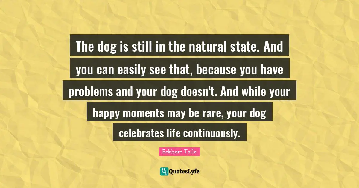 The dog is still in the natural state. And you can easily see that, because you have problems and your dog doesn't. And while your happy moments may be rare, your dog celebrates life continuously.