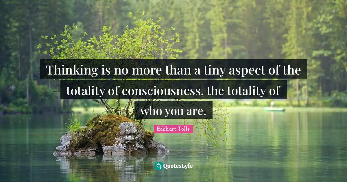 Thinking is no more than a tiny aspect of the totality of consciousness, the totality of who you are.