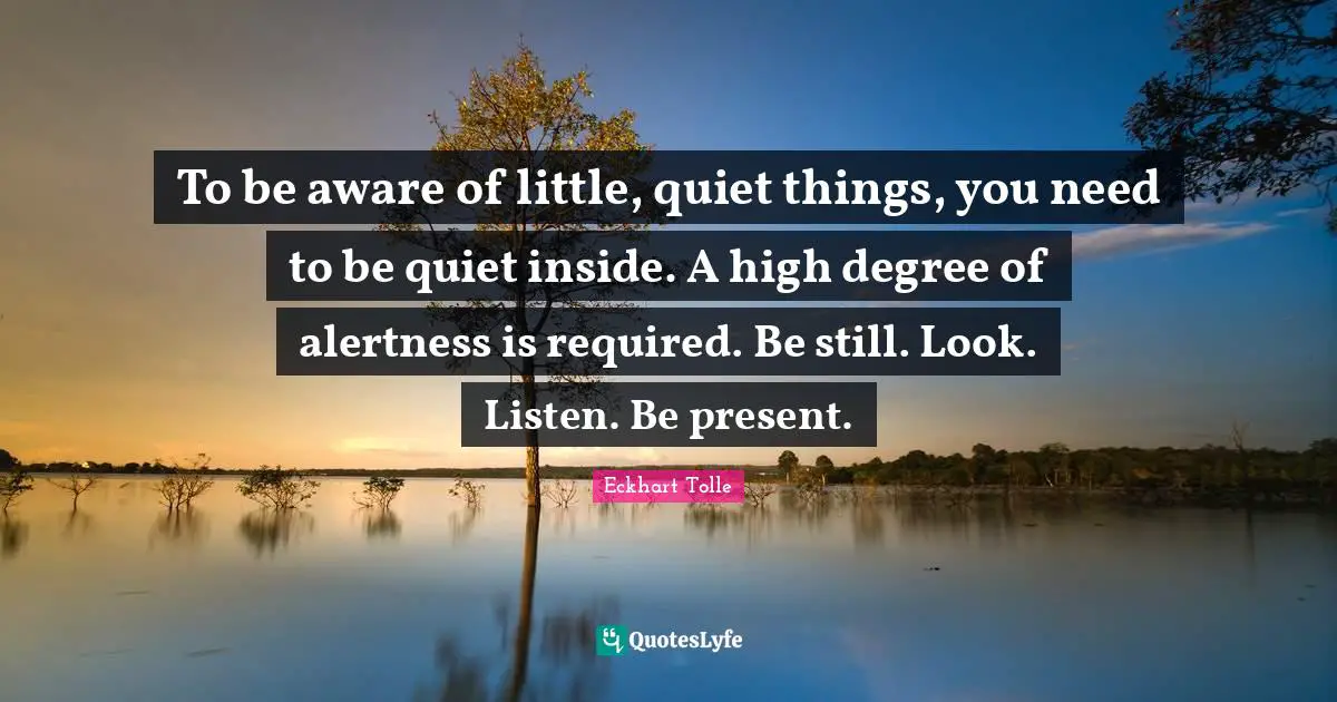 To be aware of little, quiet things, you need to be quiet inside. A high degree of alertness is required. Be still. Look. Listen. Be present.