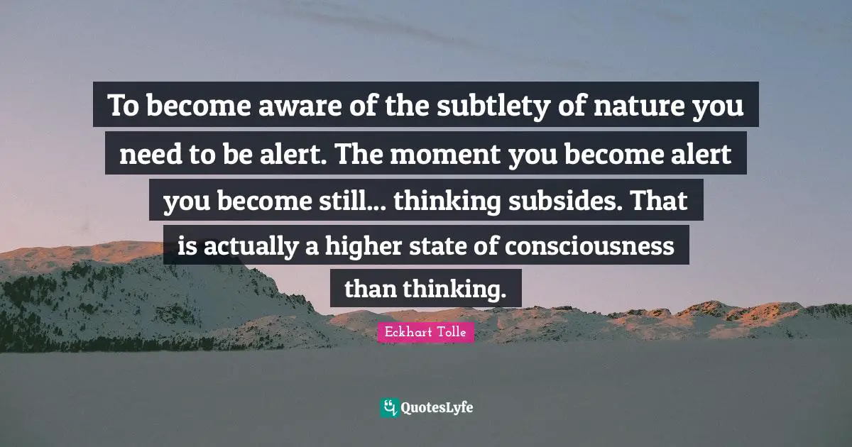 To become aware of the subtlety of nature you need to be alert. The moment you become alert you become still... thinking subsides. That is actually a higher state of consciousness than thinking.