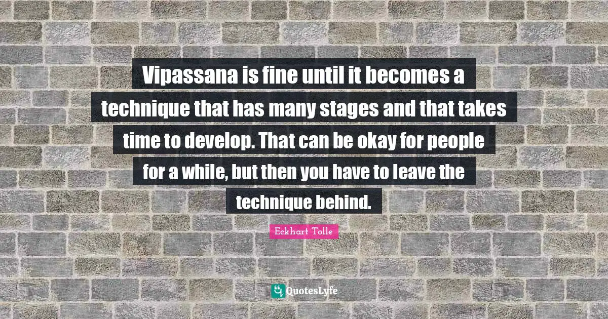 Vipassana is fine until it becomes a technique that has many stages and that takes time to develop. That can be okay for people for a while, but then you have to leave the technique behind.