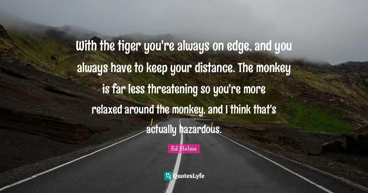 With the tiger you're always on edge, and you always have to keep your distance. The monkey is far less threatening so you're more relaxed around the monkey, and I think that's actually hazardous.