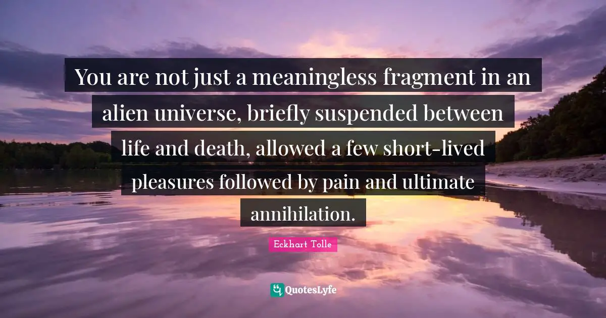 You are not just a meaningless fragment in an alien universe, briefly suspended between life and death, allowed a few short-lived pleasures followed by pain and ultimate annihilation.