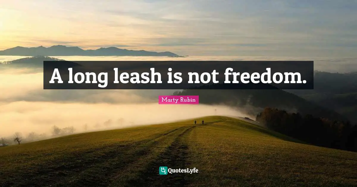 Restrictions Quotes: "A long leash is not freedom."