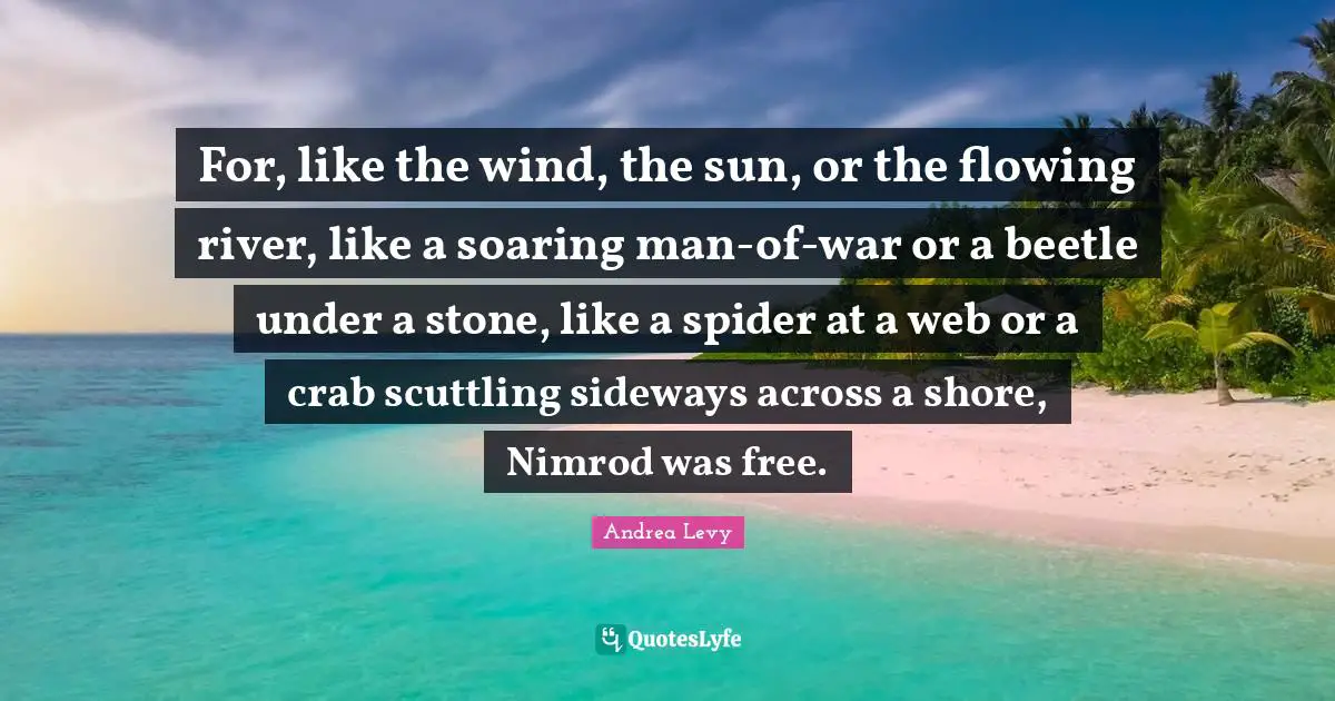 For, like the wind, the sun, or the flowing river, like a soaring man-of-war or a beetle under a stone, like a spider at a web or a crab scuttling sideways across a shore, Nimrod was free.