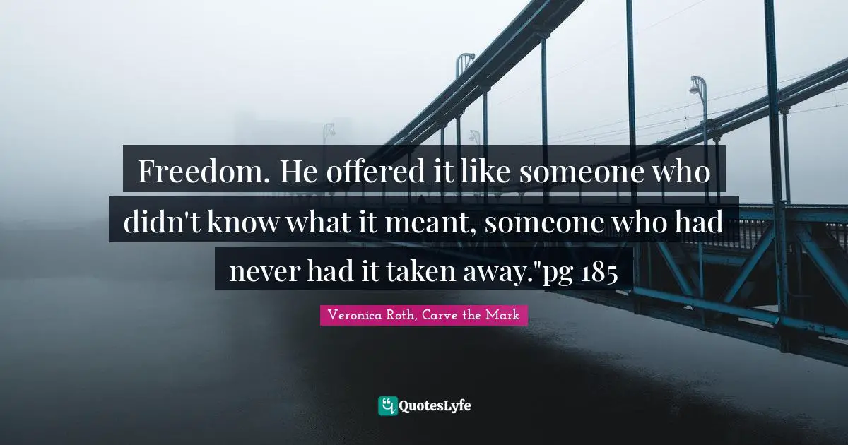 Freedom. He offered it like someone who didn't know what it meant, someone who had never had it taken away."pg 185