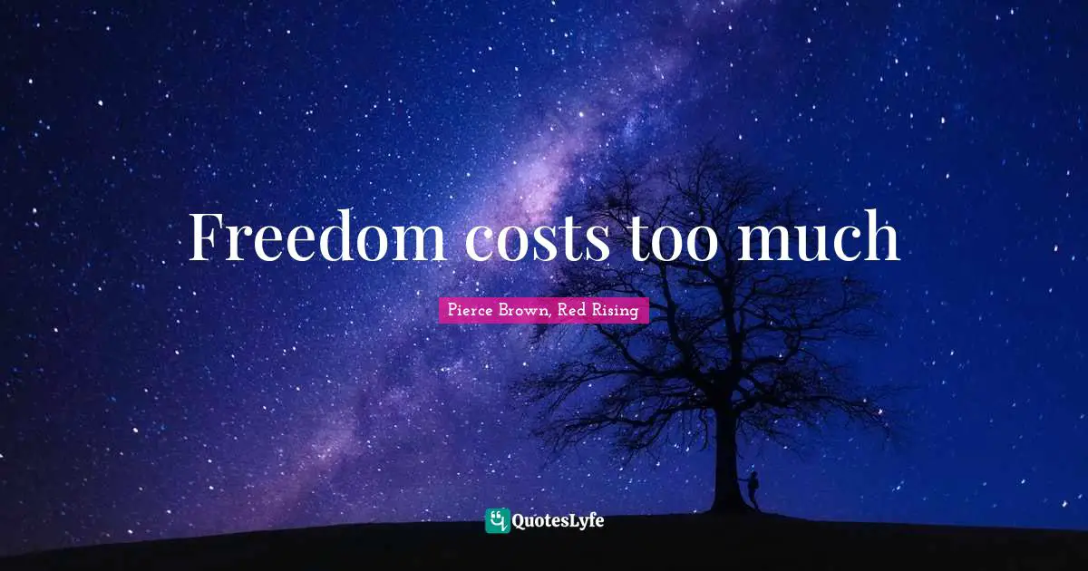 Freedom costs too much