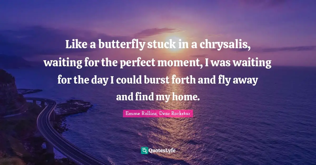 Like a butterfly stuck in a chrysalis, waiting for the perfect moment, I was waiting for the day I could burst forth and fly away and find my home.