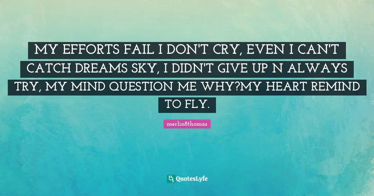 MY EFFORTS FAIL I DON'T CRY, EVEN I CAN'T CATCH DREAMS SKY, I DIDN'T GIVE UP N ALWAYS TRY, MY MIND QUESTION ME WHY?MY HEART REMIND TO FLY.