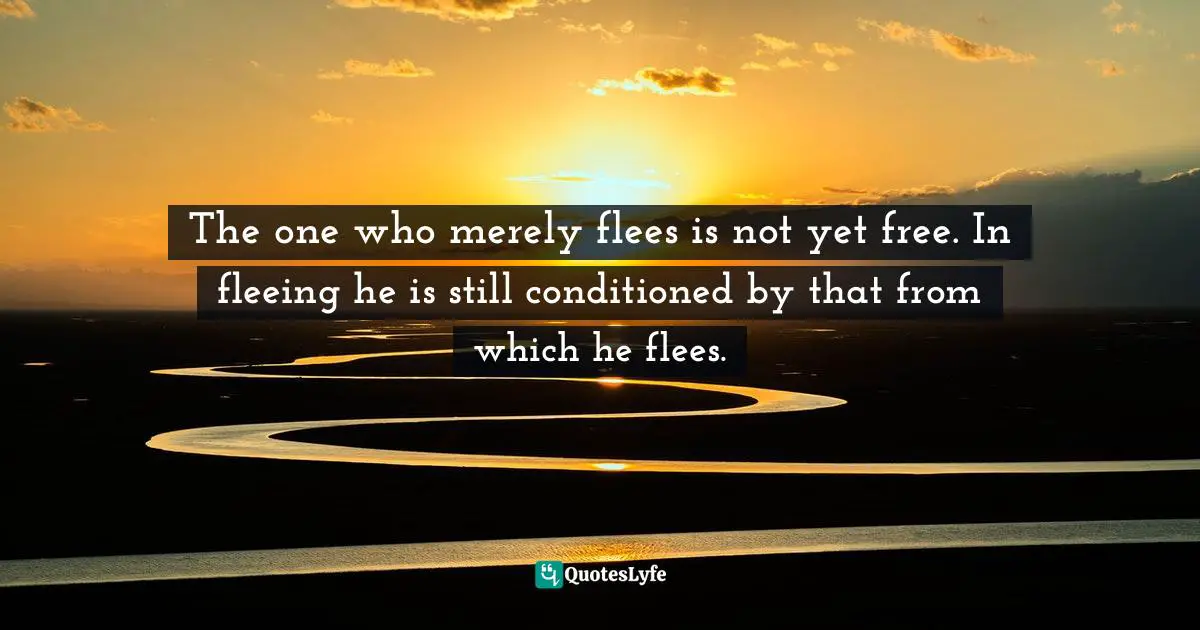 Fleeing Quotes: "The one who merely flees is not yet free. In fleeing he is still conditioned by that from which he flees."