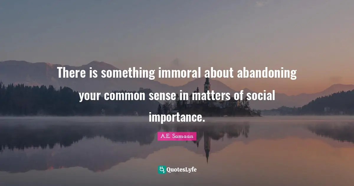 A.E. Samaan Quotes: There is something immoral about abandoning your common sense in matters of social importance.
